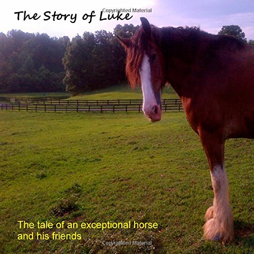 Story of Luke